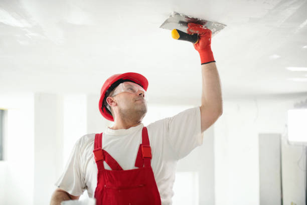 Reliable Grayslake, IL Dry wall and painting Solutions